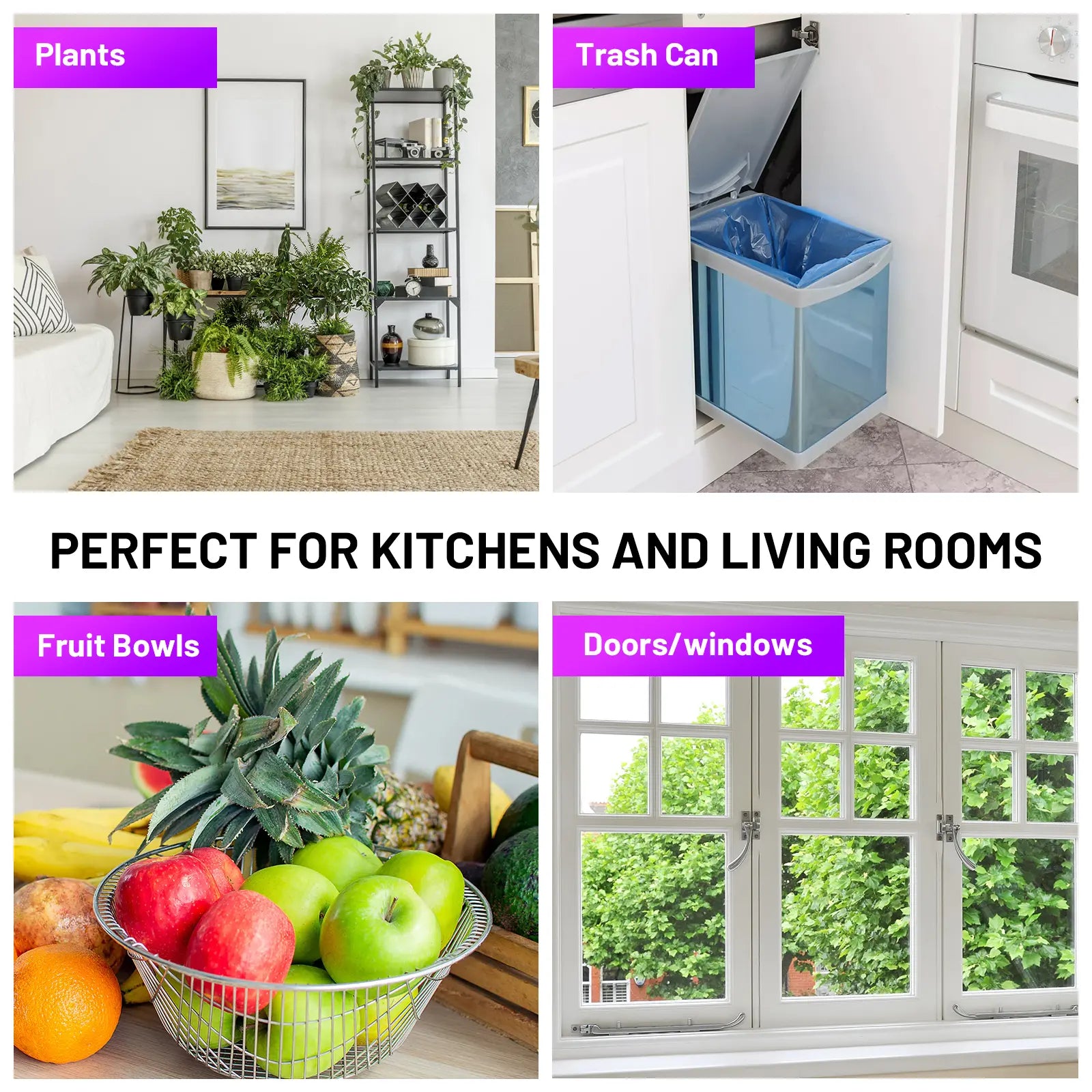 (1 Device + 5 Refills) PIMAG Fruit Fly Traps for Indoors, Flying Insert Trap and Gnat Traps for House Indoor, Plug in Light Flying Insect Trap, Gnat Killer Bug Zapper Indoor